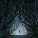 Lorenz Holder / Red Bull Illume