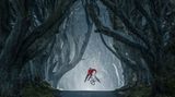 Lorenz Holder / Red Bull Illume