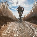 Laurence Crossman-Emms / Red Bull Illume