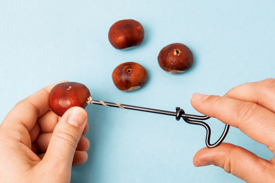 Basteln mit Kastanien Basteln mit Kastanien