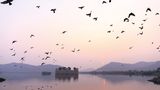 Jaipur, Jal Mahal Palace