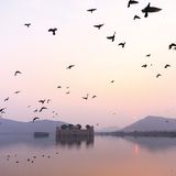 Jaipur, Jal Mahal Palace