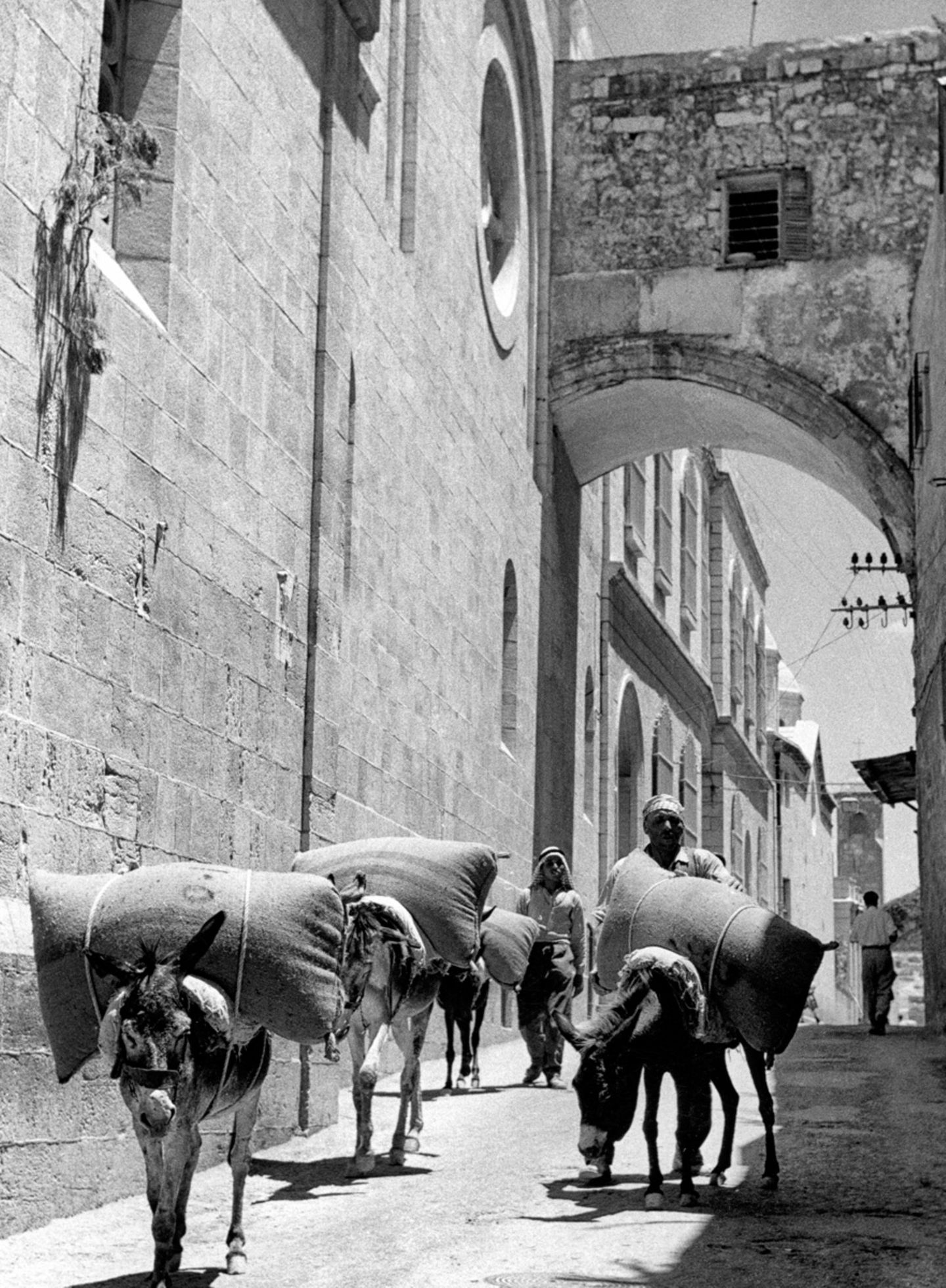 Wie seit Jahrhunderten schleppen Esel und Maultiere die Lasten durch die schmalen Straßen der Altstadt