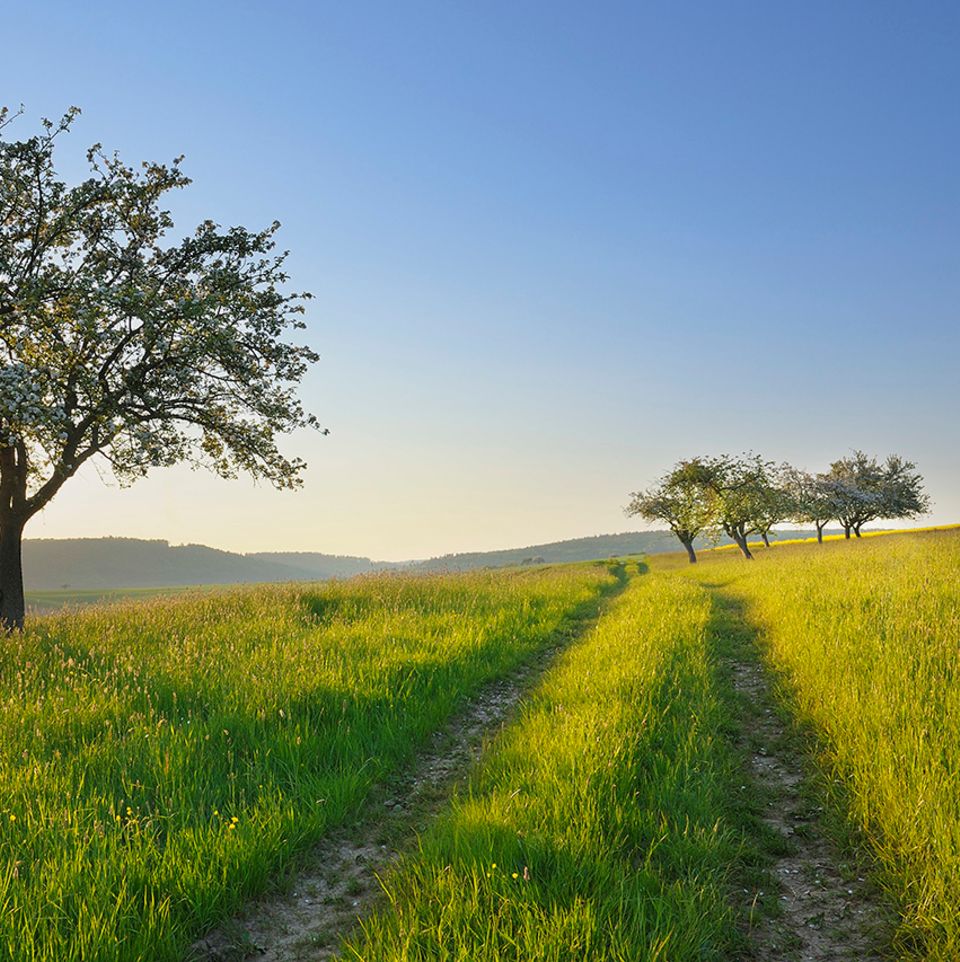 Natur