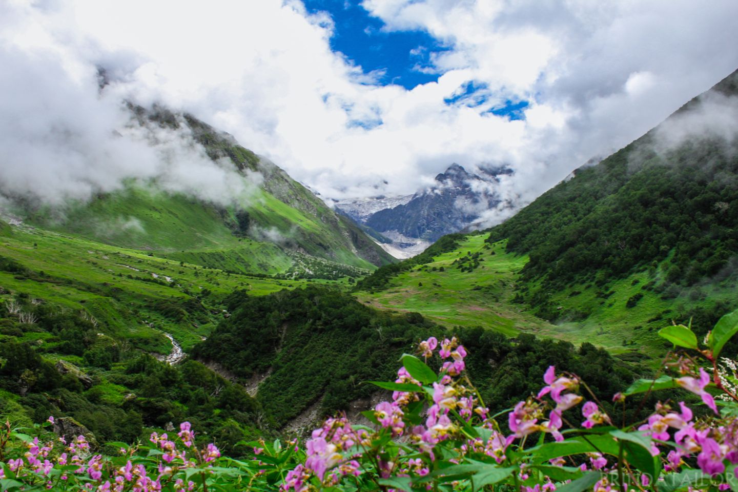 Valley-of-Flowers-Nationalpark
