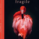 fragile
