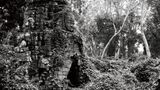 Angkor Wat