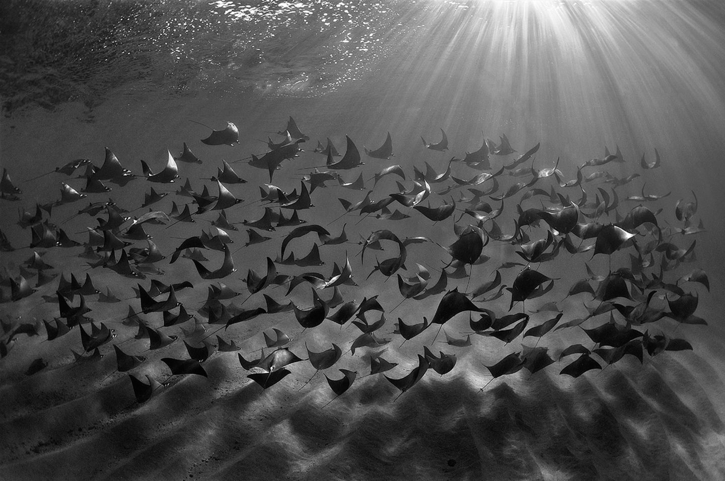 GEO Jahresrückblick: Die 50 beeindruckendsten Bilder des Jahres - Bild 8 GEO Jahresrückblick: Die 50 beeindruckendsten Bilder des Jahres - Bild 8