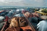 GEO Jahresrückblick: Die 50 beeindruckendsten Bilder des Jahres - Bild 19