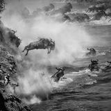 GEO Jahresrückblick: Die 50 beeindruckendsten Bilder des Jahres - Bild 17