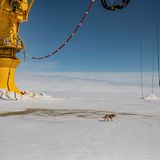 GEO Jahresrückblick: Die 50 beeindruckendsten Bilder des Jahres - Bild 22