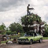 GEO Jahresrückblick: Die 50 beeindruckendsten Bilder des Jahres - Bild 25