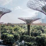 GEO Jahresrückblick: Die 50 beeindruckendsten Bilder des Jahres - Bild 32