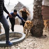 GEO Jahresrückblick: Die 50 beeindruckendsten Bilder des Jahres - Bild 36