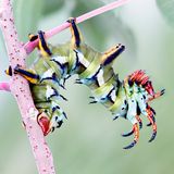 GEO Jahresrückblick: Die 50 beeindruckendsten Bilder des Jahres - Bild 37