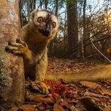 GEO Jahresrückblick: Die 50 beeindruckendsten Bilder des Jahres - Bild 48