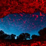 GEO Jahresrückblick: Die 50 beeindruckendsten Bilder des Jahres - Bild 50