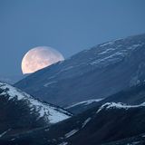 Schneeleoparden jagen vor allem in der Dämmerung und bei Dunkelheit