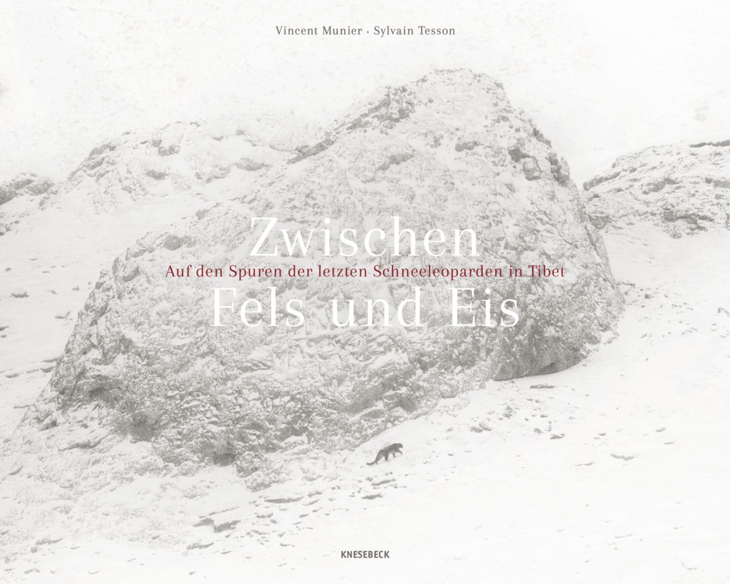 Schneeleoparden: Ein Fotograf auf der Spur der scheuen Geisterkatzen - Bild 12 Vincent Munier