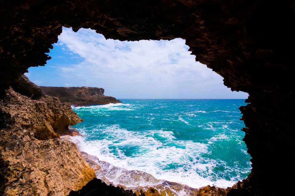 Barbados, Animal Flower Cave