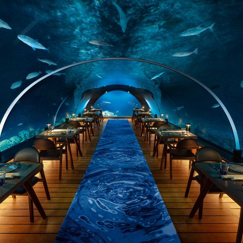 Hurawalhi Island Resort, Hurawalhi