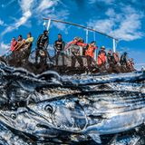 Ocean Art 2019 Underwater Photography Competition