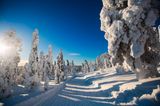 Hemsedal, Norwegen