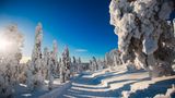 Hemsedal, Norwegen