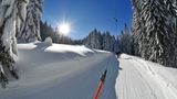Winklmoosalm,  Deutschland