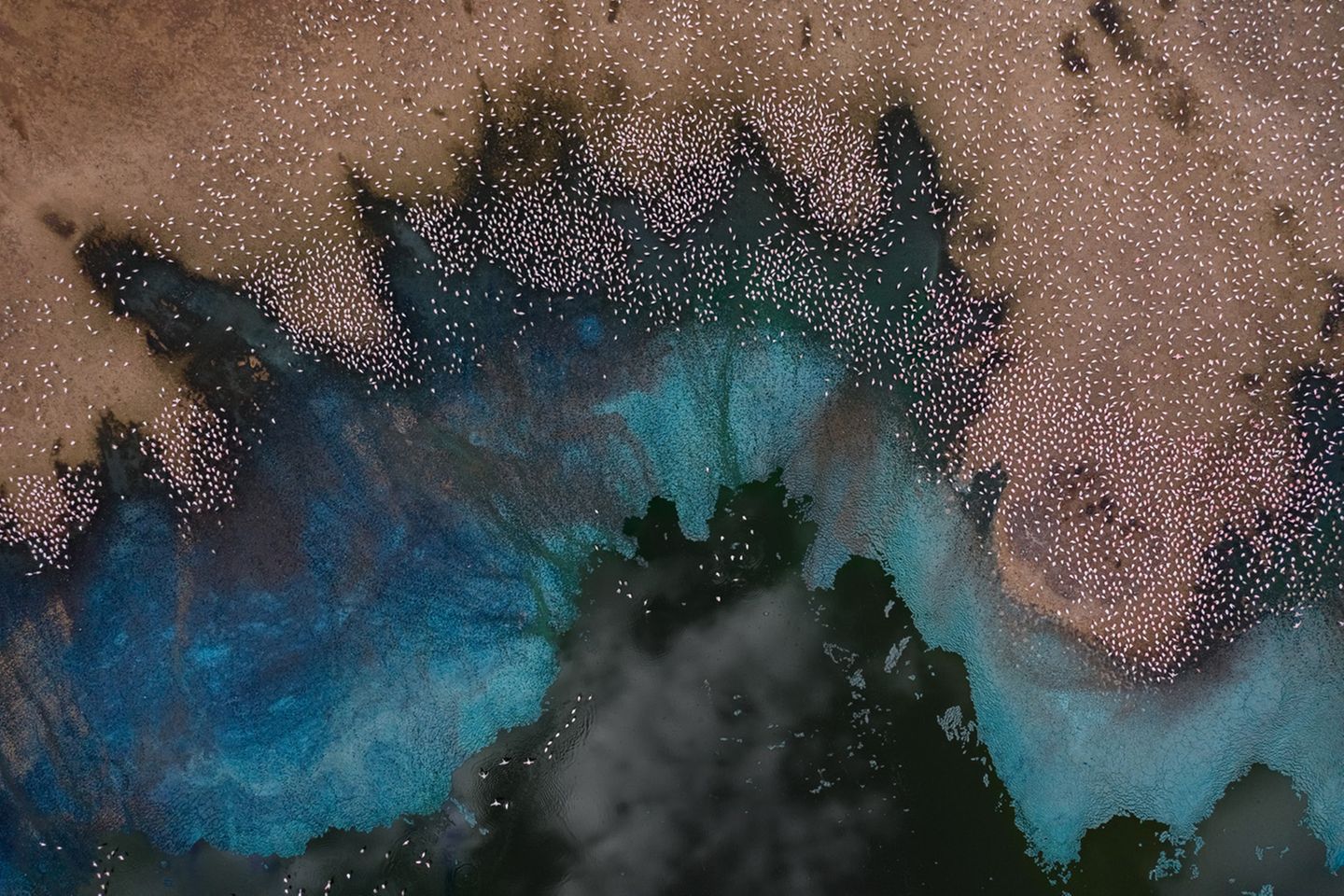 Lake Bogoria