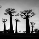 Fotopreis: 15 faszinierende Bilder von Reisen in die Natur - Bild 14