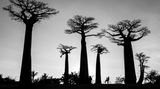 Fotopreis: 15 faszinierende Bilder von Reisen in die Natur - Bild 14