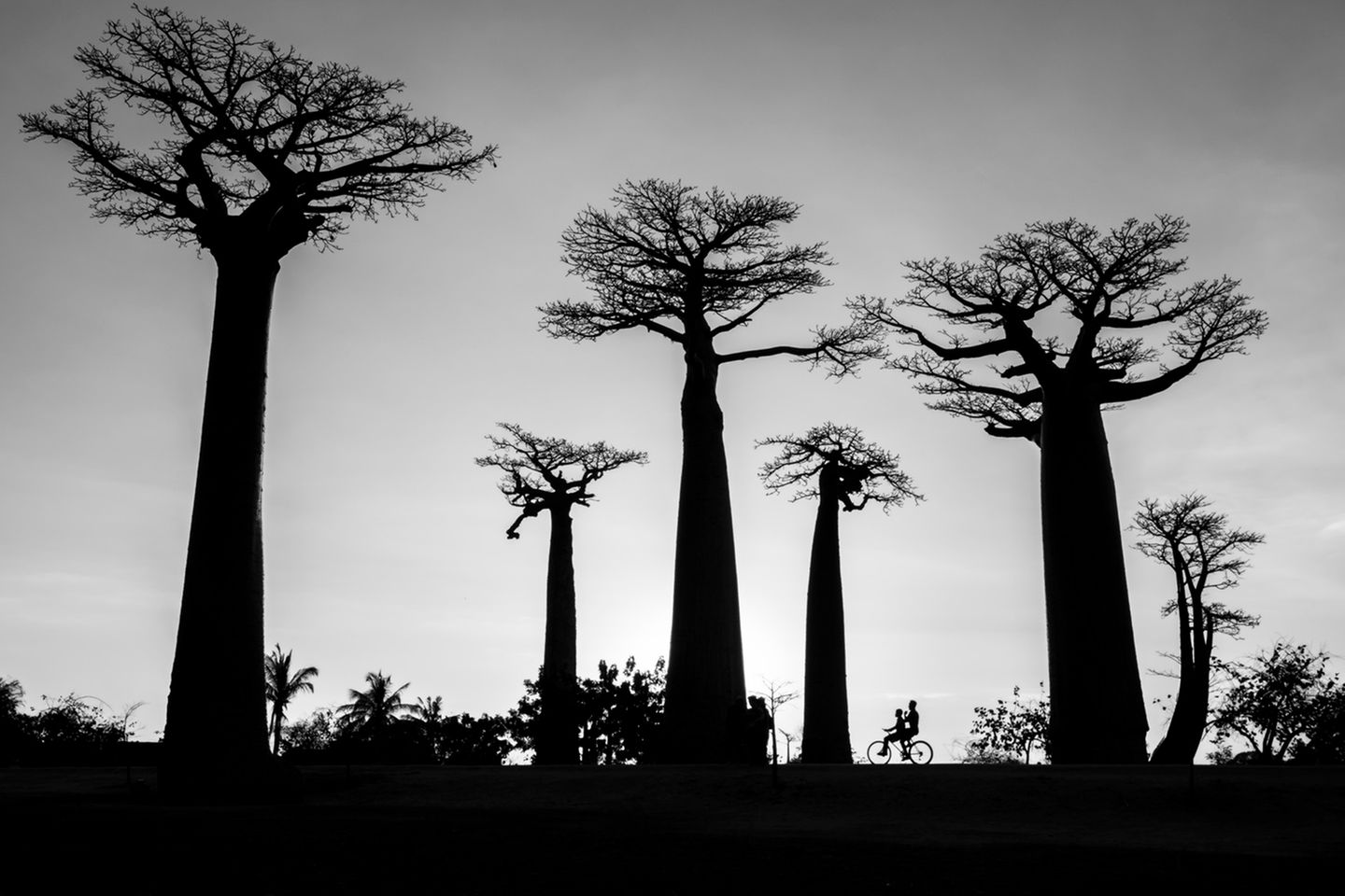 Fotopreis: 15 faszinierende Bilder von Reisen in die Natur - Bild 14