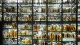 Museum fuer Naturkunde Berlin