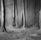 Zentralbalkan, Bulgarien