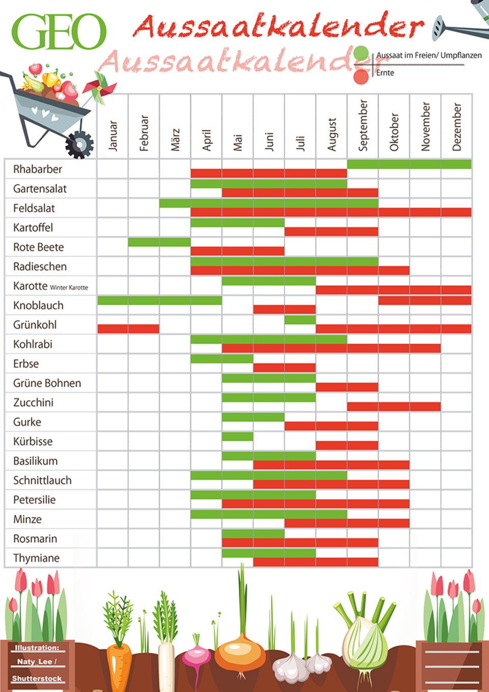 Aussaatkalender: Der Pflanzkalender für's ganze Jahr - [GEO]