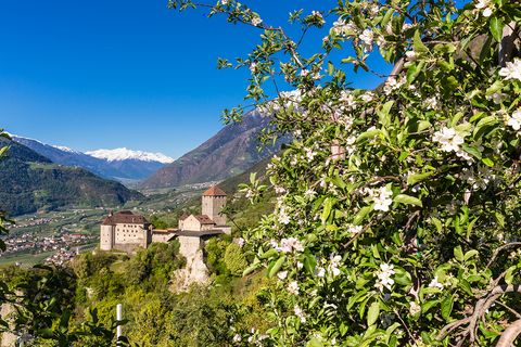 Schloss Tirol