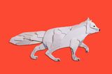 Der Polarfuchs