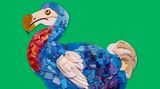 Der Dodo