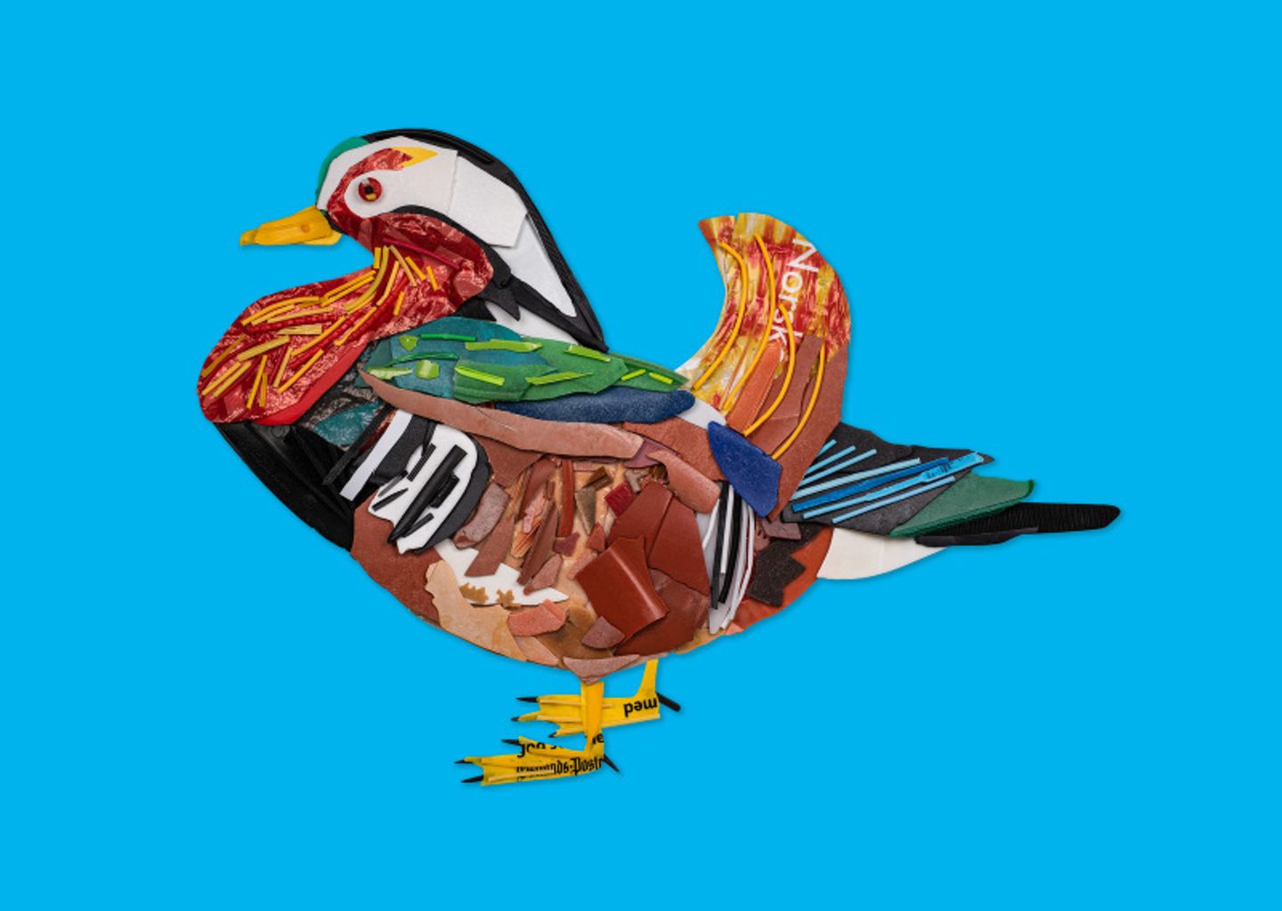 Die Mandarinente