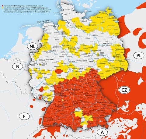 Zecken in Deutschland: Das sollten Sie wissen - [GEO]