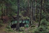 SCHLACHT IM HÜRTGENWALD