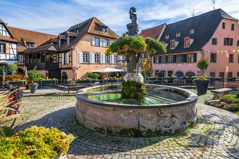 Barr, Elsass