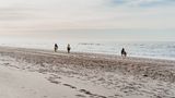 Für Tierfreunde: Ausreiten am Strand