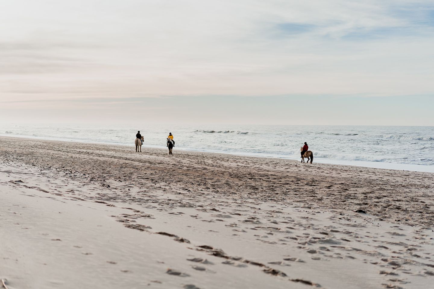 Für Tierfreunde: Ausreiten am Strand