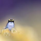 Hannes Klostermann/UPY 2020