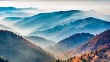 Schwarzwald
