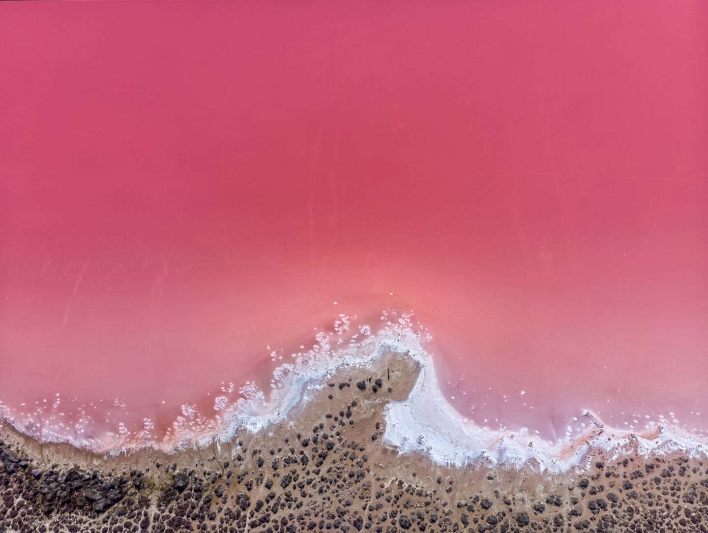 Alien Beach