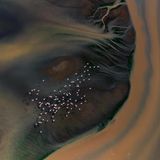 FLAMINGO FLY OVER LAKE MAGADI