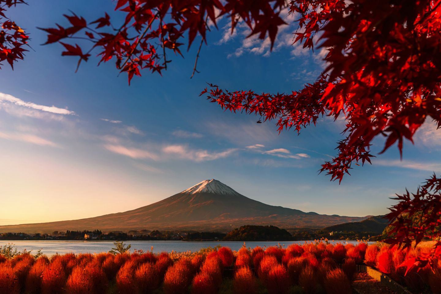 Red day